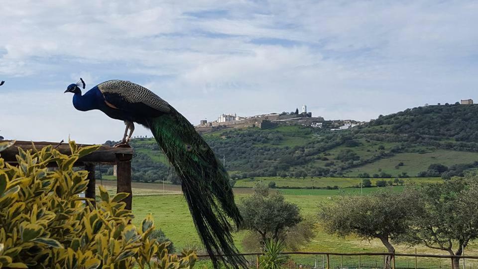 Monte Santa Catarina Acomodação com café da manhã Reguengos de Reguengos de Monsaraz Exterior foto